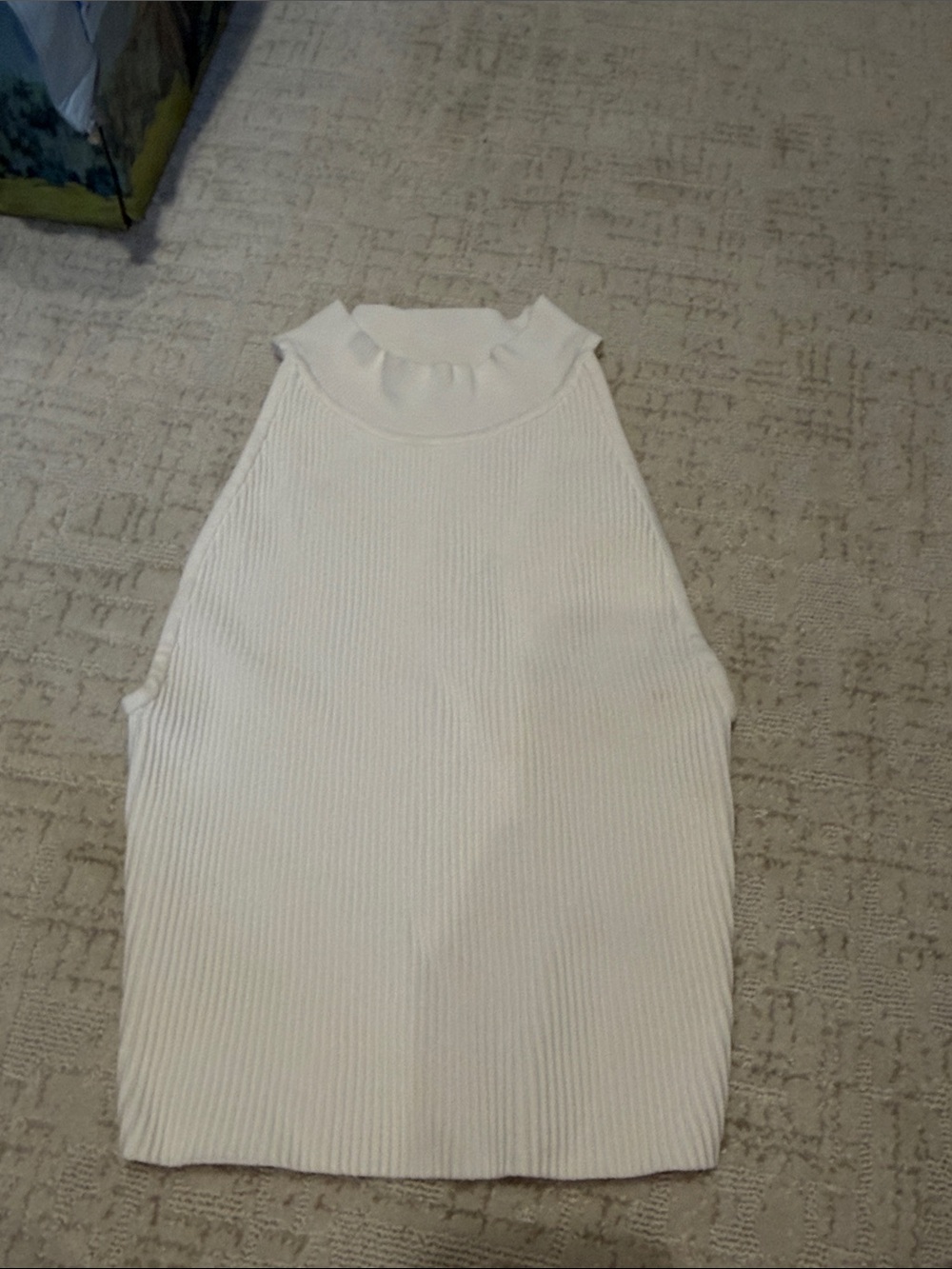 Aritzia Ripped High Neck Top